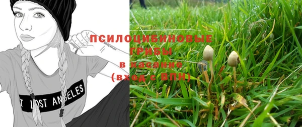 дмт Бронницы